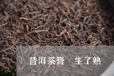 普洱茶膏 生了熟/2023041064068